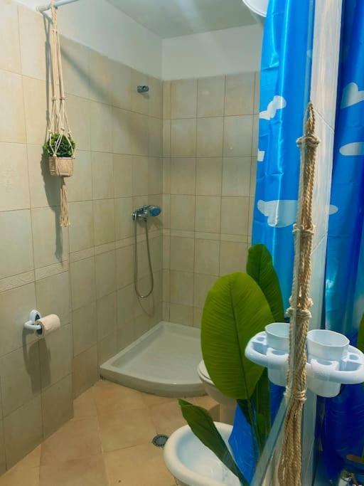 City Central Amazona Appartment Tirana Buitenkant foto